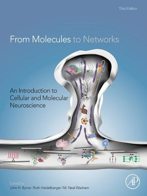 cover image of From Molecules to Networks